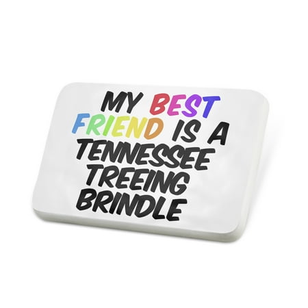 Porcelein Pin My best Friend a Tennessee Treeing Brindle Dog from United States Lapel Badge –