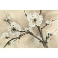 thumbnail image 2 of Paschke, Chris 14x11 White Modern Wood Framed Museum Art Print Titled - Spring Blossoms III, 2 of 4