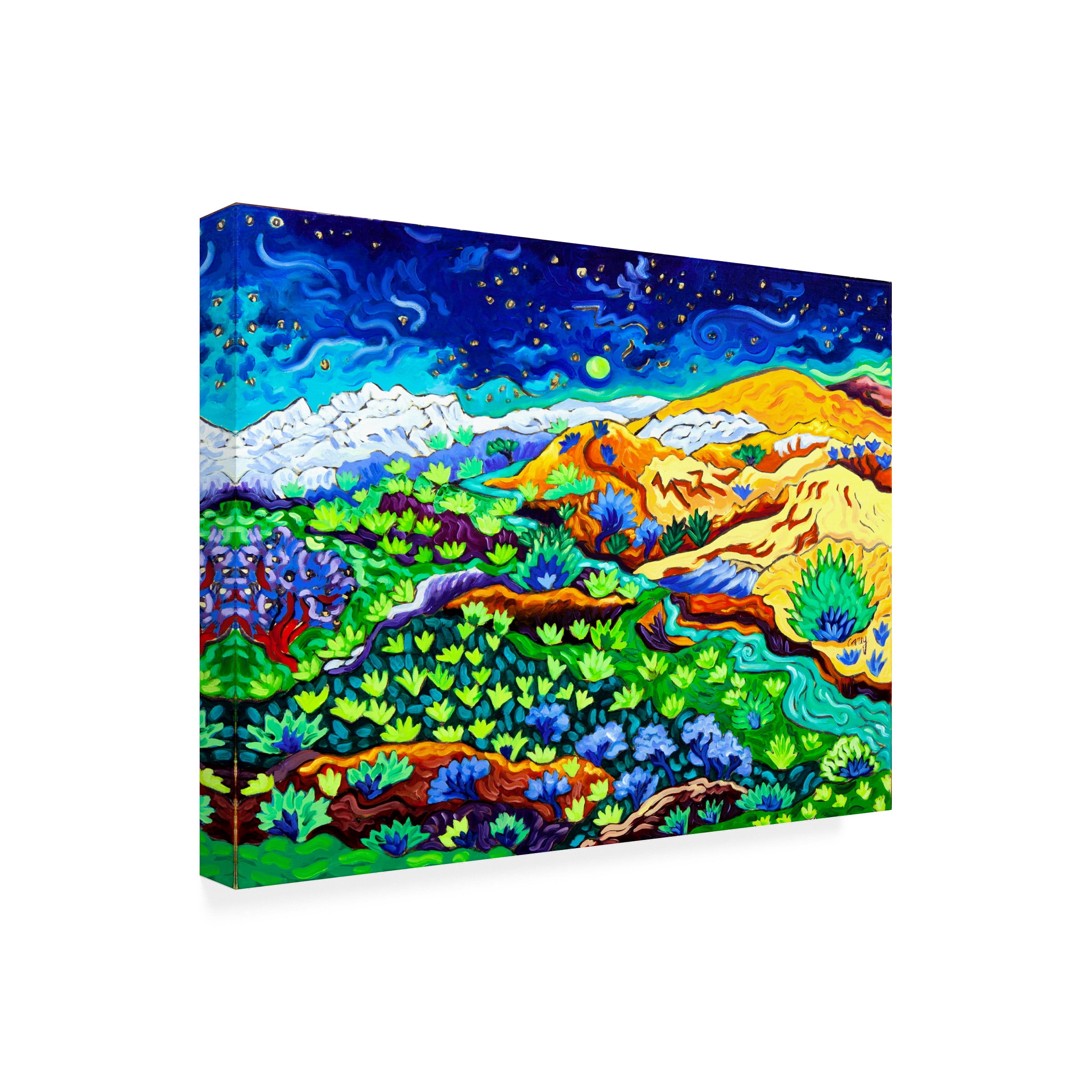 Cathy Carey 'Western Starlight' Canvas Art