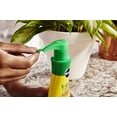 MiracleGro Indoor Plant Food (Liquid), 8 oz., Instantly Feeds All