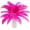 Fuchsia, variant on Pink Ostrich Feathers 24pcs Natural Bulk 8-10Inch 20cm-25cm for Crafts Wedding Party Centerpieces Halloween and Home Decoration Feathers