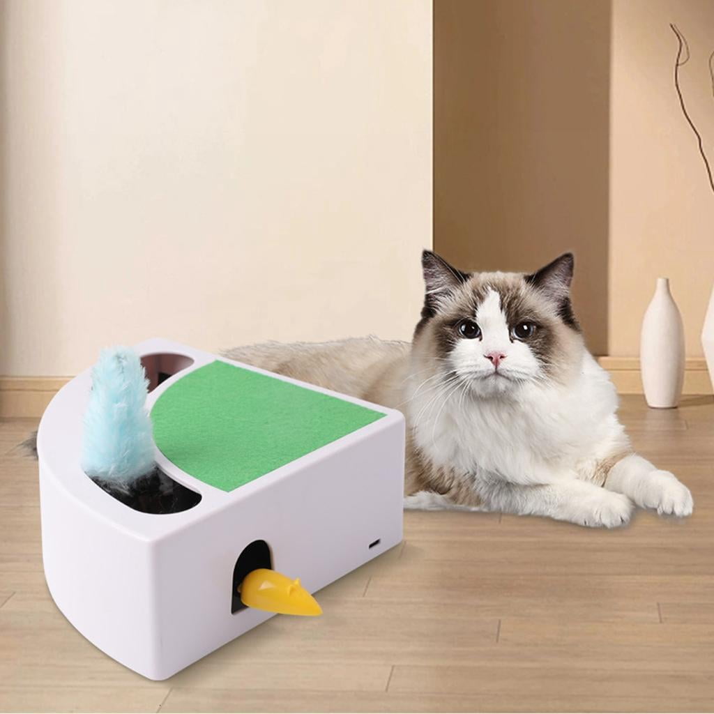 Cats Automatic Moving Toy for Kitten Exercise Indoor Felines Teaser Toy Fun Entertainment Stimulating Play Toy