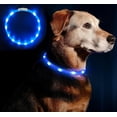 thumbnail image 1 of Light Up Dog Collar Rechargeable, LED Dog Collar for Small Dogs Waterproof Light Up Safety Pet Collar, 1 of 4