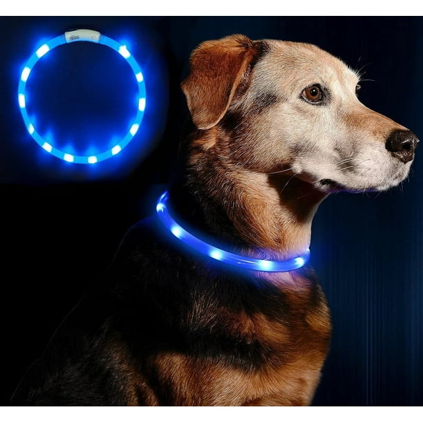 LED Collier Lumineux pour Chiens, Lumière Collier Chien