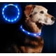 thumbnail image 1 of Anicoll LED Leuchthalsband Hunde Halsband USB wiederaufladbar - Längenverstellbarer Haustier Sicherheit Kragen für Hunde und Katzen- 3 Modus 12 Lichte (Grün) MFZFUKR WL-00567-6, 1 of 4