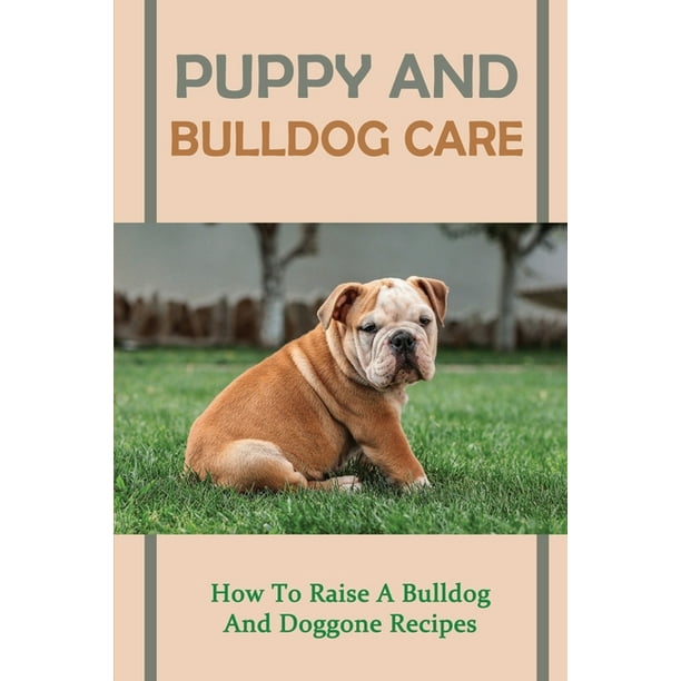 how to make a bulldog happy