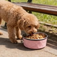 thumbnail image 5 of Portable Dog Bowls Foldable Travel Dish for Hiking Camping, No Spill Collapsible Puppy Water Bowl for Small and Large Dogs, Outdoor Pet Accessories, 5 of 5