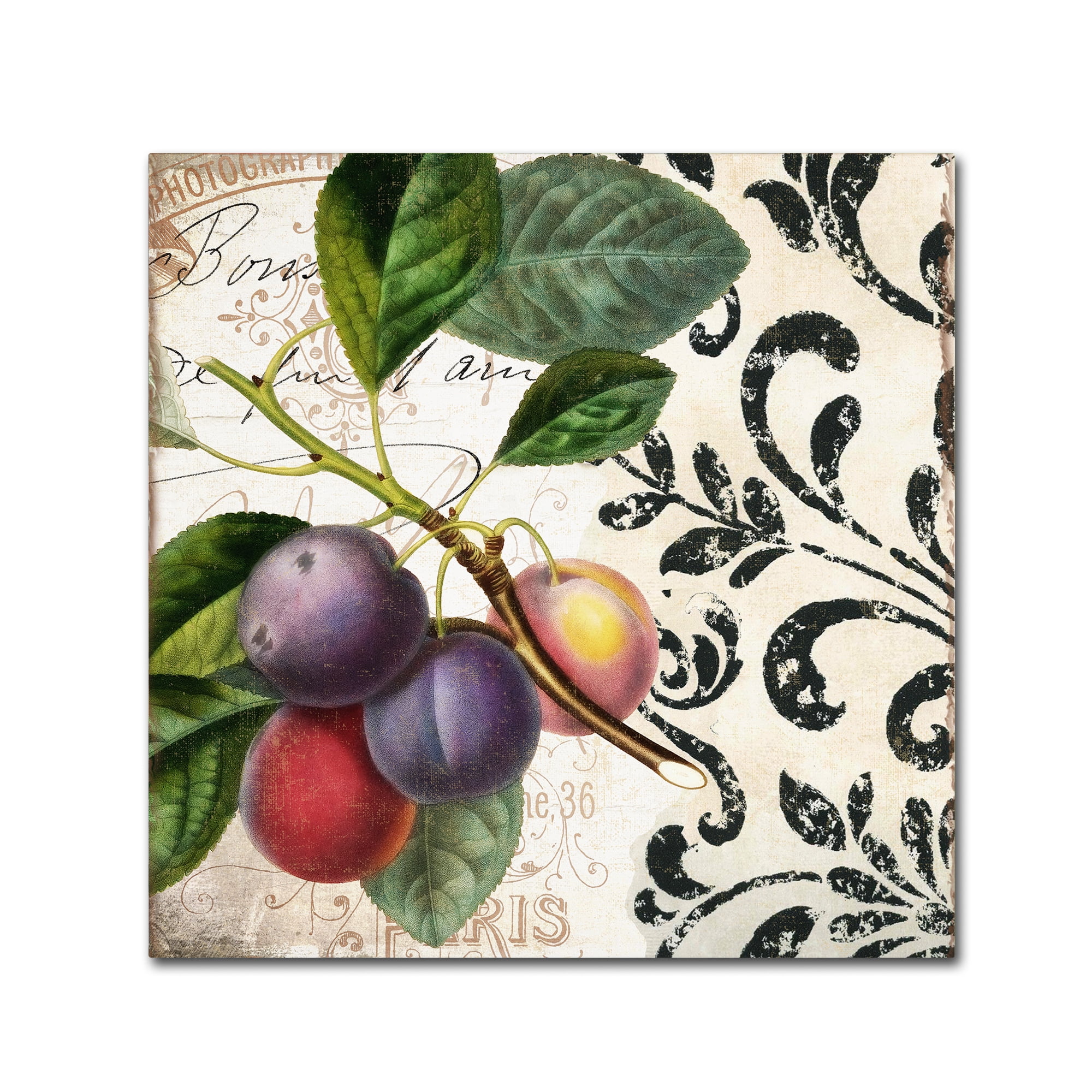 Trademark Fine Art "Les Fruits Jardin III" Canvas Art by Color Bakery