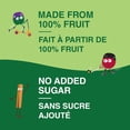 thumbnail image 2 of GoGo SqueeZ Compote de Fruits Biologique en Sachets Collation Assortiment - 28 x 90g, 2 of 6