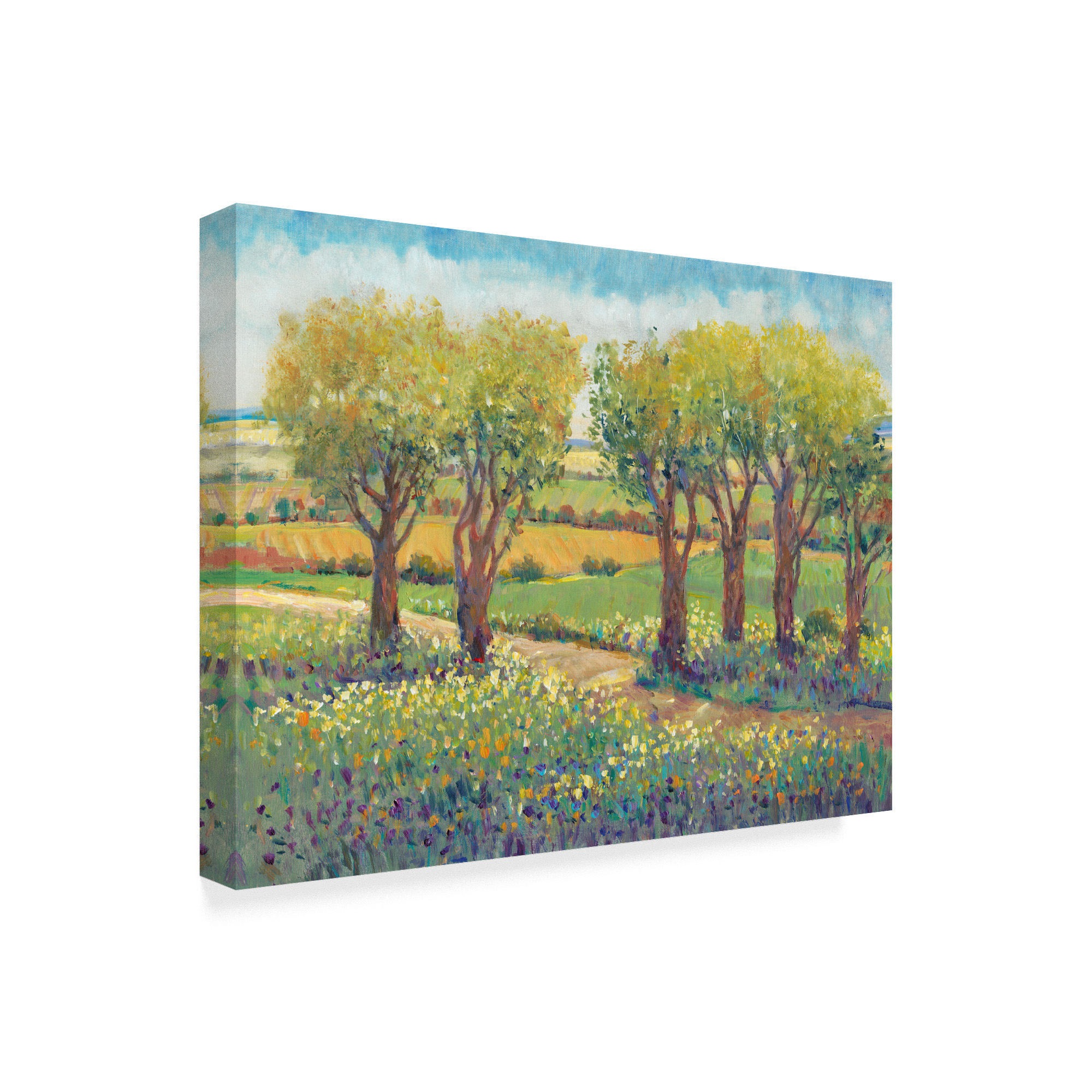 Trademark Fine Art 'Garden Path I' Canvas Art by Tim OToole