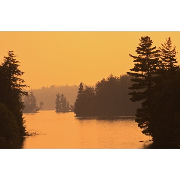 Canada, Ontario, Algonquin Provincial Park. Sunset on Tea Lake. Poster Print by Jaynes Gallery (18 x 24)