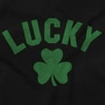 thumbnail image 2 of Saint Patrick's Day Lucky Shamrocks Unisex Plus Fleece Graphic Hoodie Brisco Brands 3X, 2 of 3