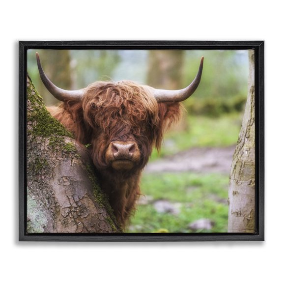 Stupell Industries Farmhouse Highland Cattle Peering Between Trees Lush Nature Scene Black Floating Frame Canvas Art, 21 x 17, by James Dobson