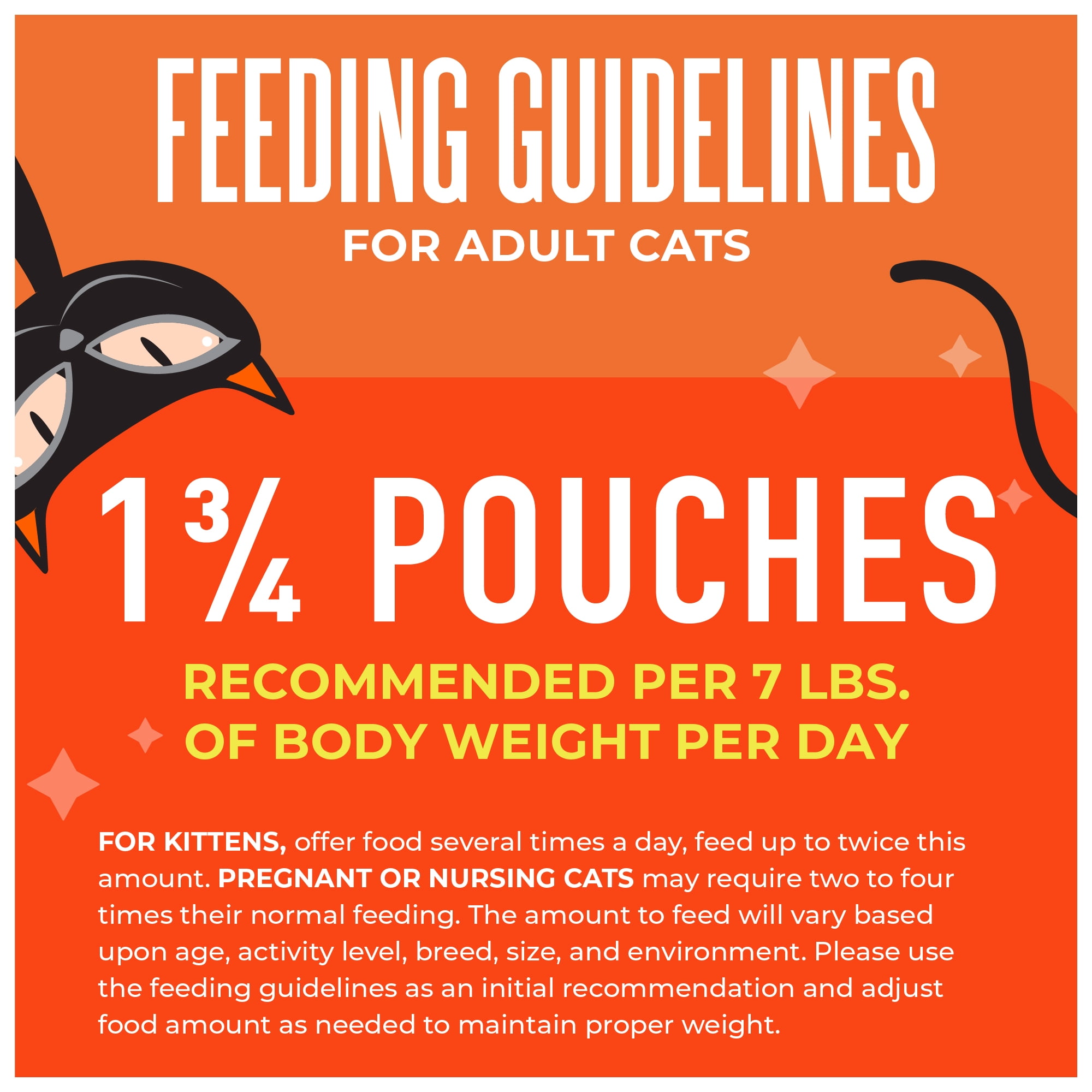 Tiki Cat Friends Wet Cat Food, Chicken & Pumpkin, 2.5 oz. Pouch