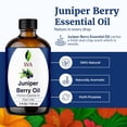 thumbnail image 4 of SVA Juniper Berry Essential Oil – 4 Fl Oz – 100% Natural Juniper Oil - for Diffuser, Hair Care, Face, Skin Care, Aromatherapy, Scalp and Body Massage, Soap and Candle Making – with Dropper, 4 of 9