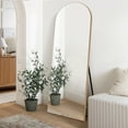 NeuType Arched Floor Mirror with Stand Modern Full Length Mirror Wall