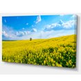 thumbnail image 2 of Lone Tree in Blooming Cozla Park, 2 of 3