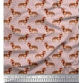 thumbnail image 1 of Soimoi Cotton Duck Fabric Hat & Dachshund Dog Print Fabric by Yard 42 Inch Wide, 1 of 1