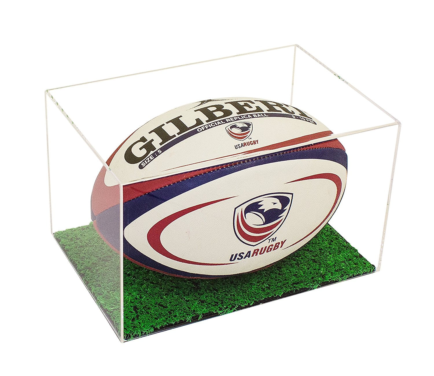RUGBY BALL DISPLAY CASE