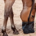 thumbnail image 4 of unbranded Bolsa Para De Caballo Con Malla Y Cuerdas Para Colgar En Establo, 4 of 7