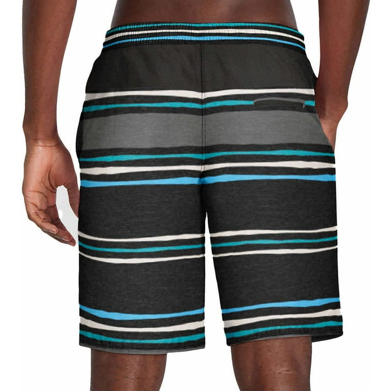 Speedo Mens Hydro Volley Swim Shorts Black (as1, Alpha, x_l, Regular,  Regular, Gray Stripe)