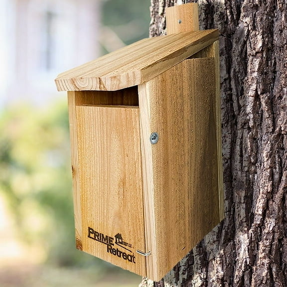 Sparrow-Resistant Eastern Bluebird House by Prime Retreat