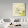 thumbnail image 3 of Trademark Fine Art 'Memories Of The Falls' Canvas Art by Christine O’Brien, 3 of 3
