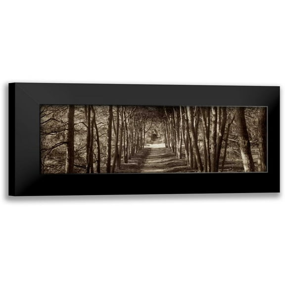 Blaustein, Alan 14x7 Black Modern Framed Museum Art Print Titled - Hampton Gates Promenade - 2