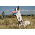 thumbnail image 4 of Chuckit! Canvas Flying Squirrel Dog Toy, Medium for Dogs 20-60 lb, Pack of 1, Assorted, 4 of 6