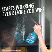 Windex Glass, Window, and Mirror Cleaner, Original Blue, Spray Bottle, 32 fl oz.