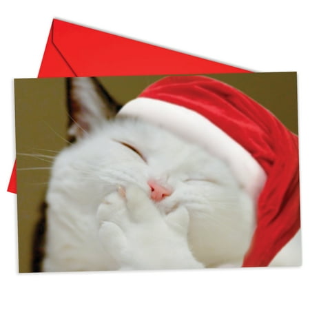 Christmas Cards Box Set B6485JXSG Smitten Kittens Christmas Cards' Box Set of 12 Funny Merry Christmas Note Cards with Envelopes by NobleWorks ()
