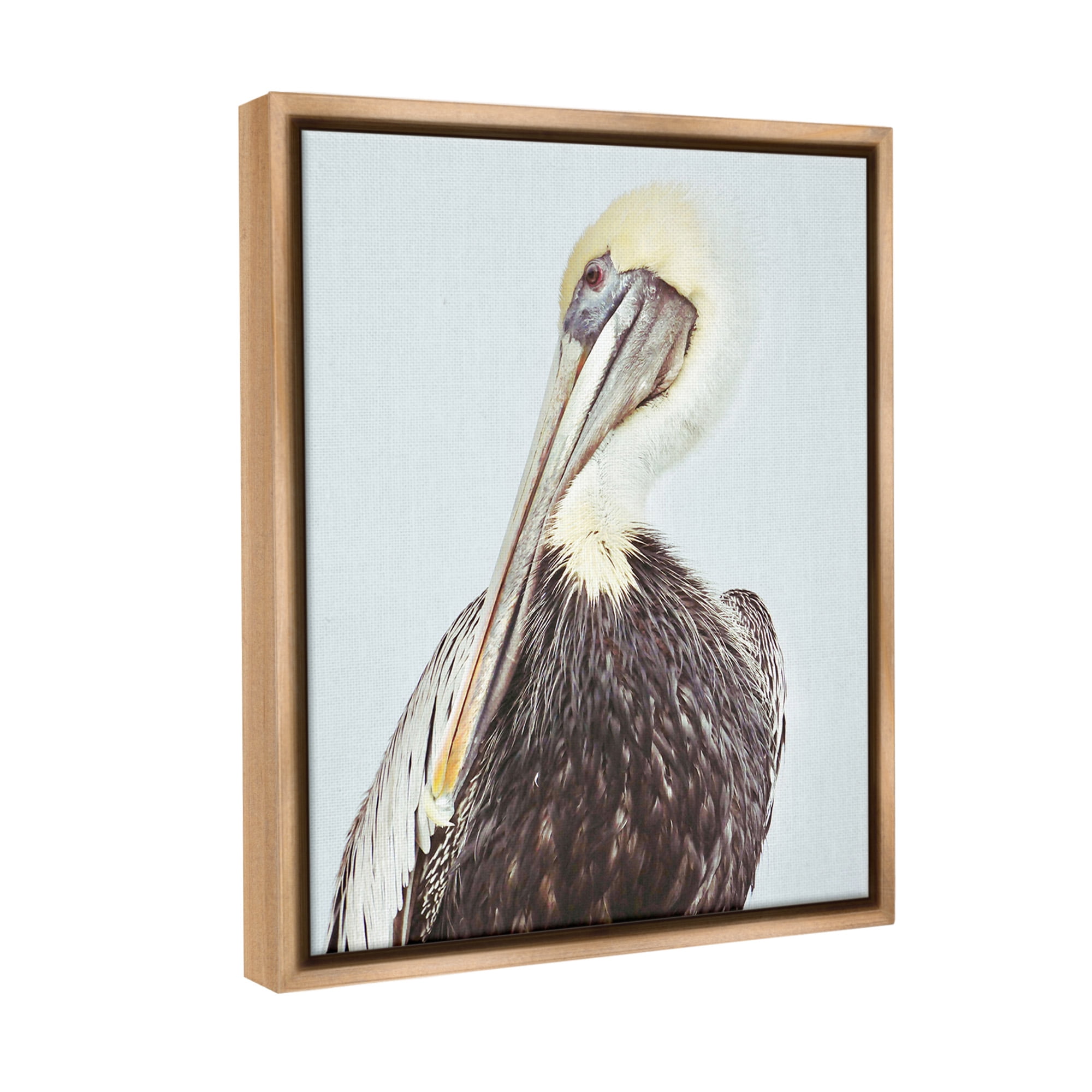 Stupell Industries Preening Pelican Photography Animals & Insects Painting Brown Floater Framed Canvas Art Print Wall Art, 17 x 21