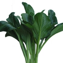 Yu Choy Sum Seeds - Late Green - 3 g Packet ~660 Seeds - Non-GMO, Heirloom - Asian Garden Vegetable