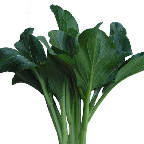 Yu Choy Sum Seeds - Late Green - 3 g Packet ~660 Seeds - Non-GMO, Heirloom - Asian Garden Vegetable