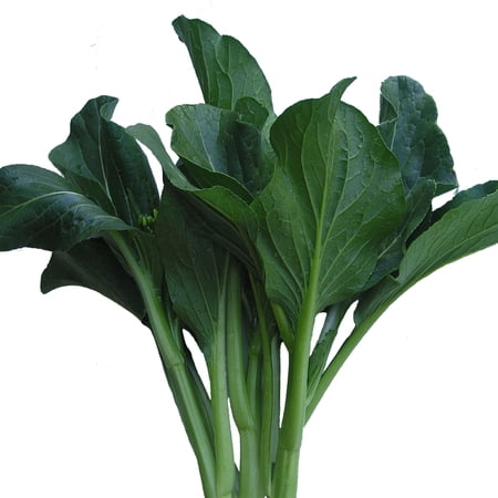 Yu Choy Sum Seeds - Late Green - 3 g Packet ~660 Seeds - Non-GMO Heirloom - Asian Garden Vegetable