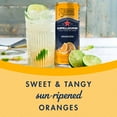 thumbnail image 2 of Sanpellegrino Italian Sparkling Drink Aranciata, Sparkling Orange Beverage, 6 Pack of Cans 66.9 fl oz, 2 of 10
