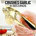 thumbnail image 2 of Kitchen Premium Garlic Press Set - Rust Proof & Dishwasher Safe Professional Garlic Mincer Tool - Easy-Squeeze, Easy-Clean with Soft, Ergonomic Handle - Silicone Garlic Peeler & Brush (Silver), 2 of 8
