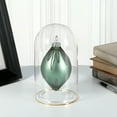 thumbnail image 3 of Plymor 4.5" x 8" Glass Display Dome Cloche with Gold Rim (no Base), Pack of 6, 3 of 3