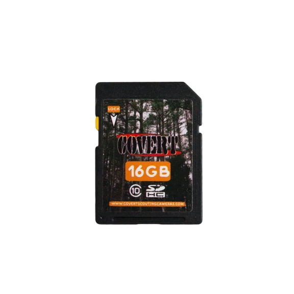 16 GB Memory Cards
