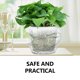 thumbnail image 3 of unbranded 4Ud Macetas Transparentes Para Plantas De Plástico Con Moderno Para Uso En Jardín, 3 of 8