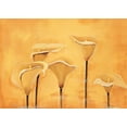 thumbnail image 2 of Florenti, Isa 14x11 Gold Ornate Wood Framed with Double Matting Museum Art Print Titled - Calla on yellow, 2 of 4