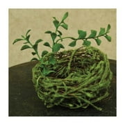 Mossy Bird Nest - 3-1/2"