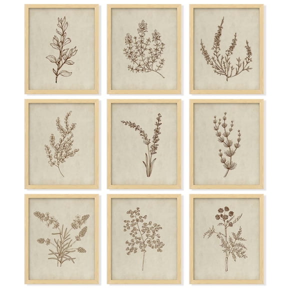 97 Decor Botanical 8x10 Neutral Floral Art Print Set, 9 Pieces