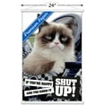 thumbnail image 3 of Grumpy Cat - Shut Up Wall Poster with Wooden Magnetic Frame, 22.375" x 34", 3 of 3