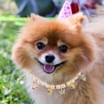 thumbnail image 6 of IBASETOY Kitten Bell Collar Adjustable for Daily Wear Plastic Golden 1Pack, 6 of 8