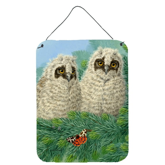 Owlets Wall or Door Hanging Prints