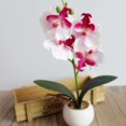 thumbnail image 1 of Surtido de orquídeas artificiales Yirtree, miniplantas en maceta con jardinera de madera, flores artificiales de orquídea Phalaenopsis en macetas para interior, oficina, escritorio, habitación,, 1 of 8