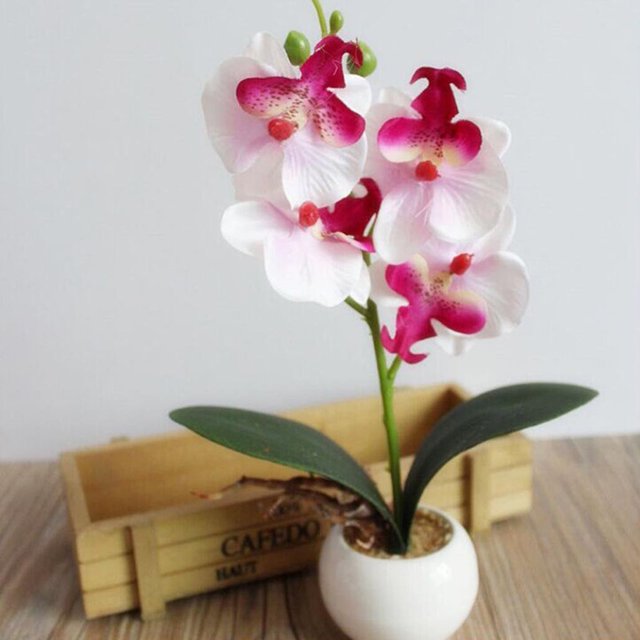 Surtido de orquídeas artificiales Yirtree, miniplantas en maceta con jardinera de madera, flores artificiales de orquídea Phalaenopsis en macetas para interior, oficina, escritorio, habitación,