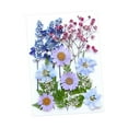 thumbnail image 4 of Flores prensadas secas, juego de flores de , hermosa artesanía, fabricación de velas, Material de fabricación DIY para pantallas de , Mezcla violeta, 4 of 8