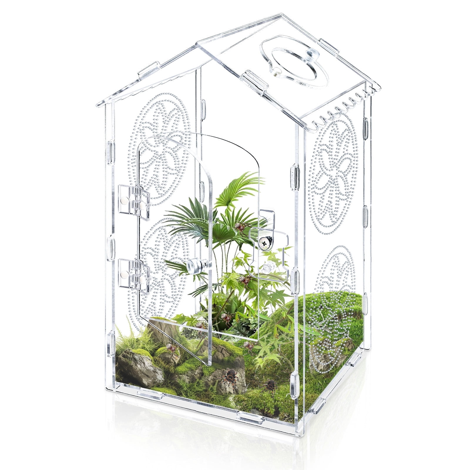 Acrylic Jumping Spider Enclosure, 11.8x6x6 Inch Roof Shaped Tarantula Enclosure, Jumping Spider Accessories with Air Holes and Feed Hole